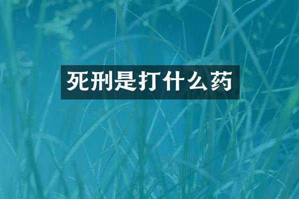 死刑是打什么药