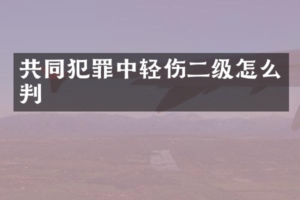 共同犯罪中轻伤二级怎么判