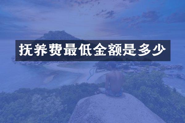 抚养费最低金额是多少