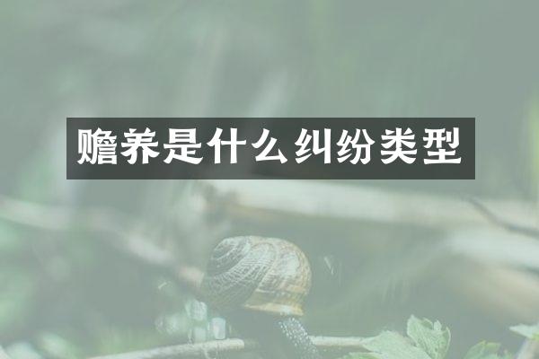 赡养是什么纠纷类型