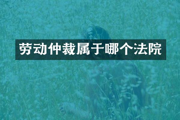 劳动仲裁属于哪个法院