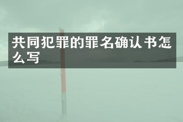 共同犯罪的罪名确认书怎么写