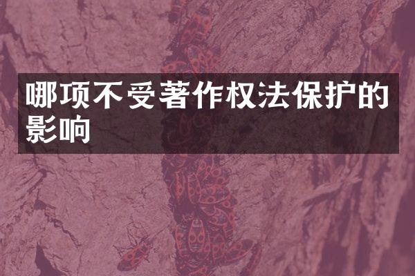 哪项不受著作权法保护的影响