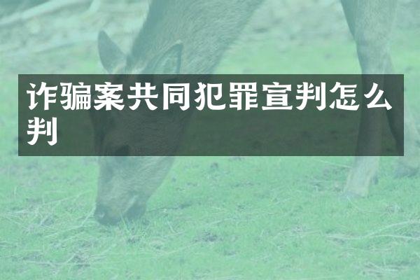 诈骗案共同犯罪宣判怎么判