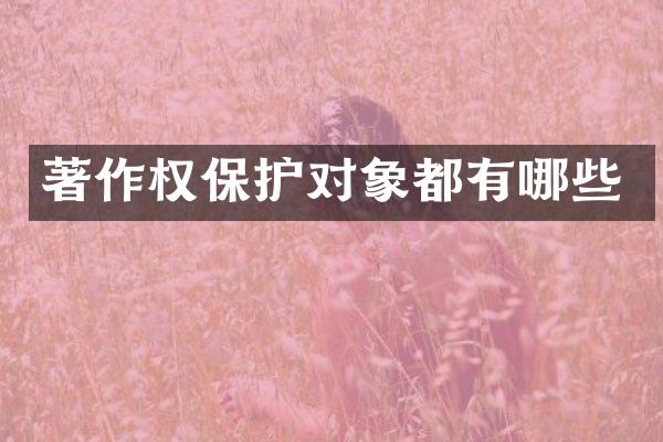著作权保护对象都有哪些