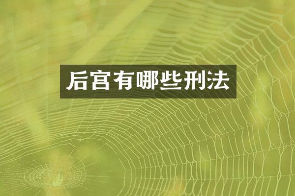 后宫有哪些刑法