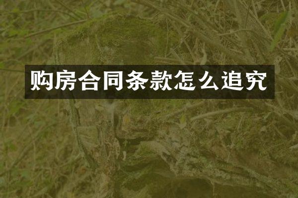购房合同条款怎么追究