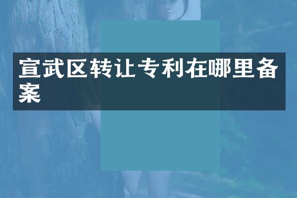 宣武区转让专利在哪里备案
