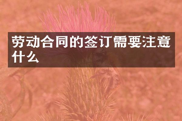 劳动合同的签订需要注意什么