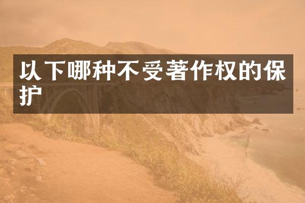以下哪种不受著作权的保护