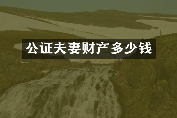 公证夫妻财产多少钱