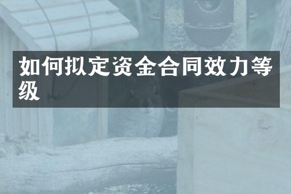 如何拟定资金合同效力等级