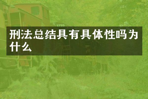 刑法总结具有具体性吗为什么