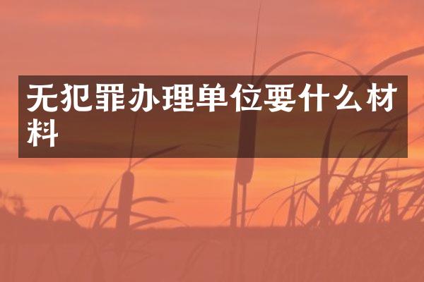 无犯罪办理单位要什么材料