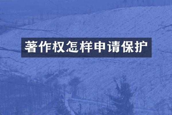 著作权怎样申请保护