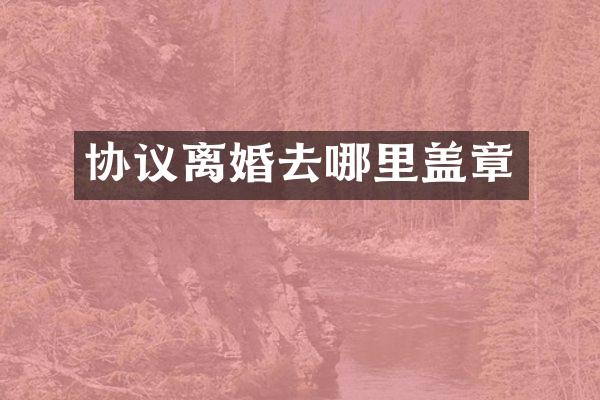 协议离婚去哪里盖章