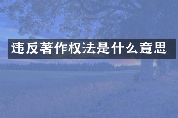 违反著作权法是什么意思