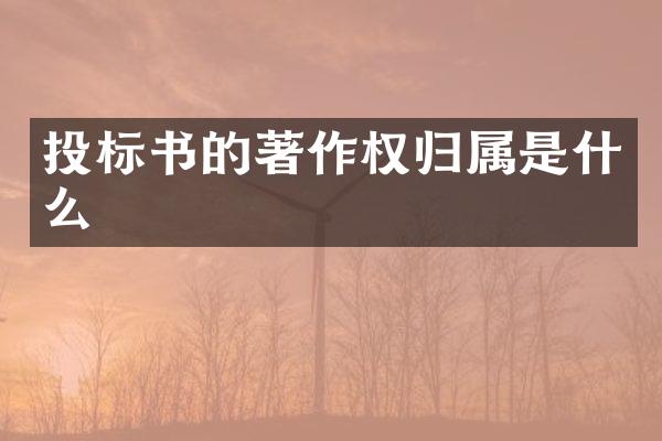 投标书的著作权归属是什么
