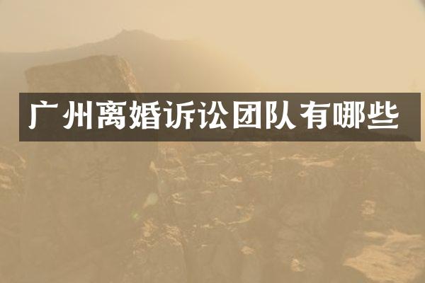 广州离婚诉讼团队有哪些