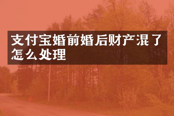 支付宝婚前婚后财产混了怎么处理