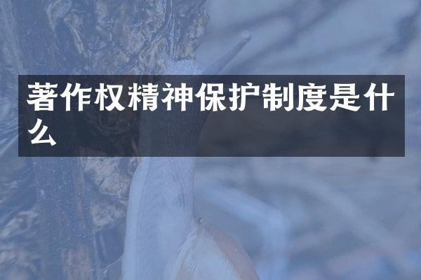 著作权精神保护制度是什么