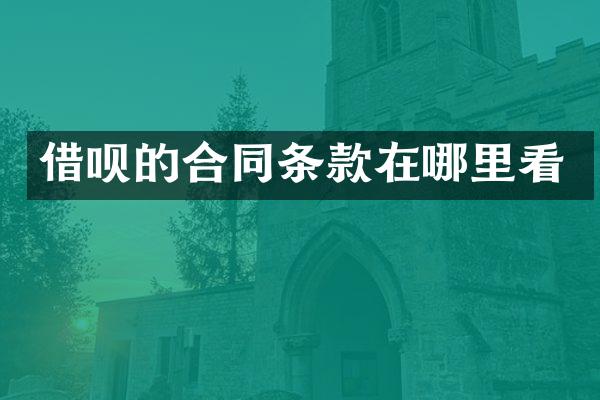 的合同条款在哪里看