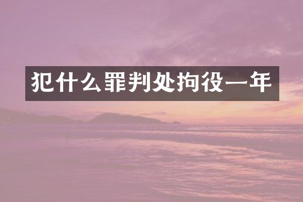 犯什么罪判处拘役一年