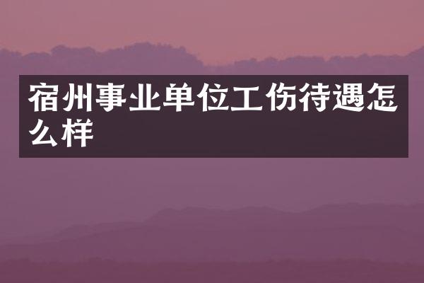 宿州事业单位工伤待遇怎么样