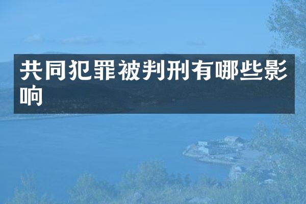 共同犯罪被判刑有哪些影响