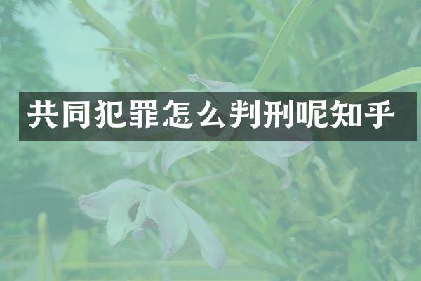 共同犯罪怎么判刑呢知乎