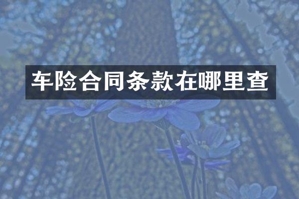 车险合同条款在哪里查