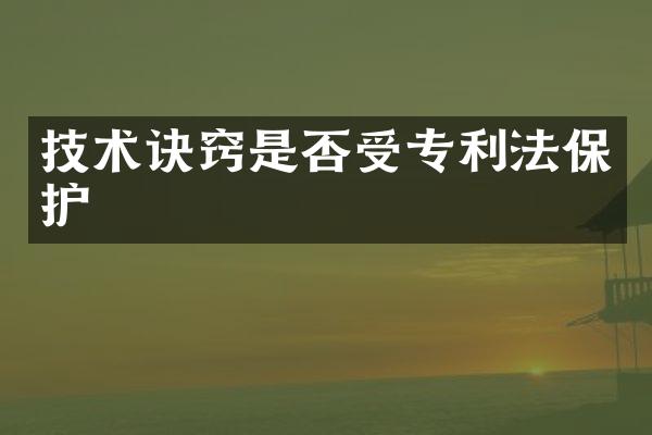 技术诀窍是否受专利法保护