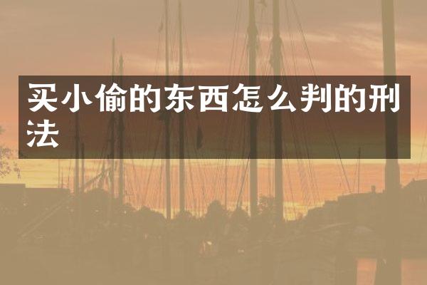买小偷的东西怎么判的刑法