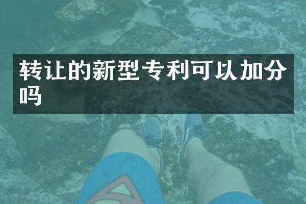 转让的新型专利可以加分吗