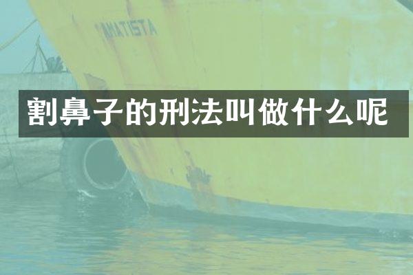 割鼻子的刑法叫做什么呢