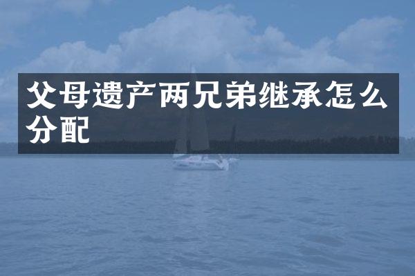 父母遗产两兄弟继承怎么分配