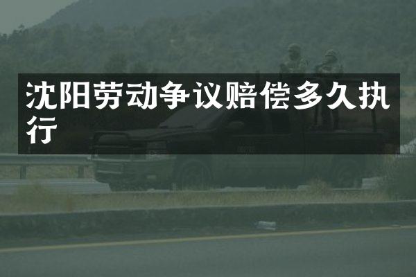 沈阳劳动争议赔偿多久执行
