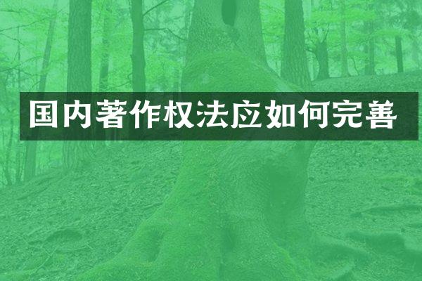 国内著作权法应如何完善