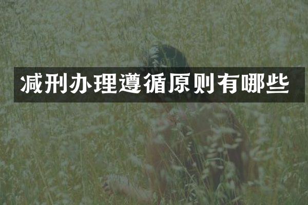 减刑办理遵循原则有哪些