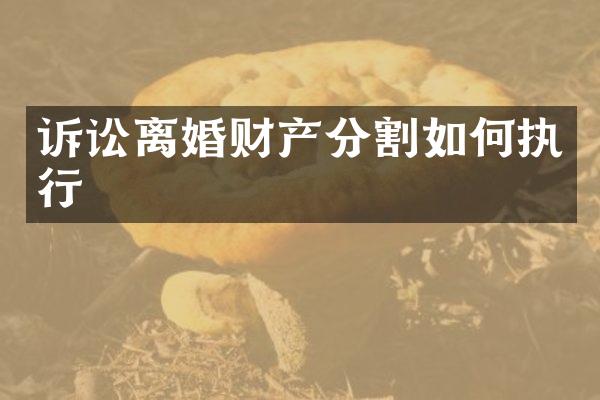 诉讼离婚财产分割如何执行