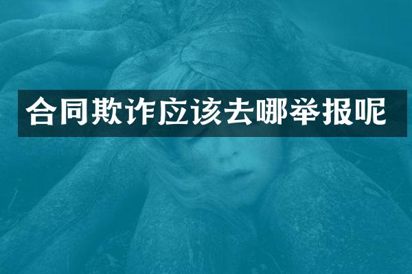 合同欺诈应该去哪举报呢