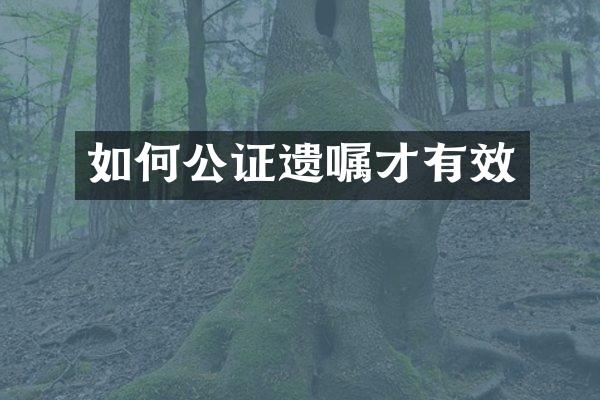 如何公证遗嘱才有效