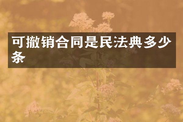 可撤销合同是民法典多少条