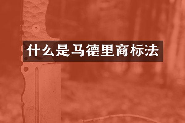 什么是马德里商标法