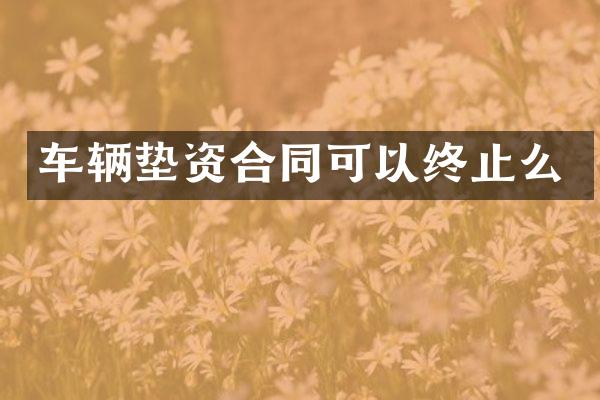 车辆垫资合同可以终止么