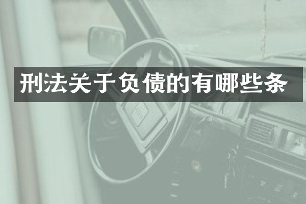 刑法关于负债的有哪些条