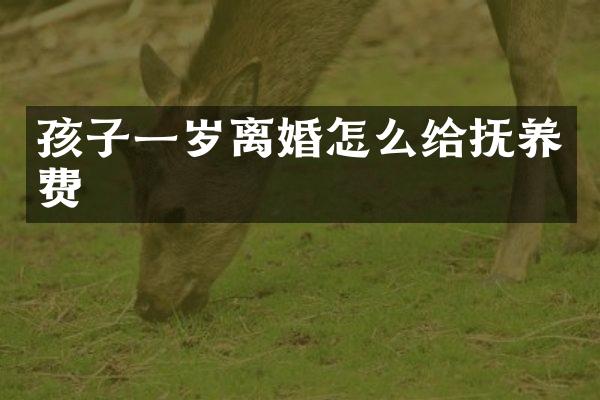 孩子一岁离婚怎么给抚养费