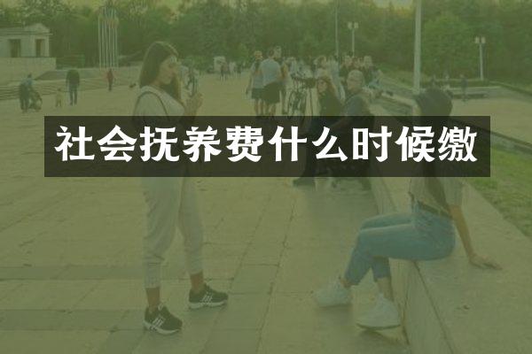 社会抚养费什么时候缴