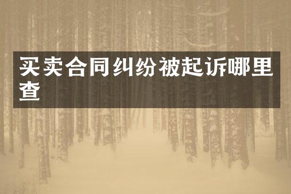 买卖合同纠纷被起诉哪里查