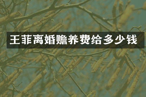 王菲离婚赡养费给多少钱